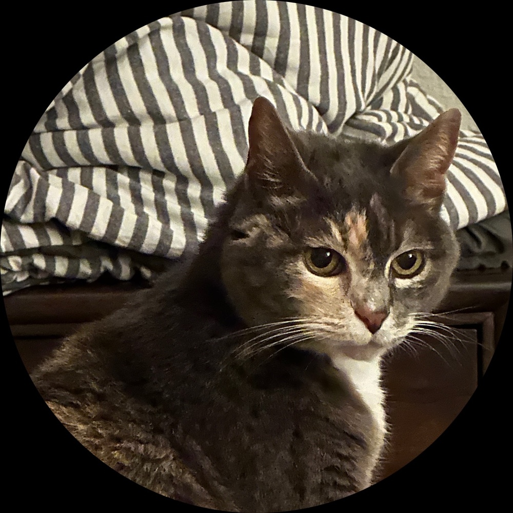 Meet your Posher, Naya